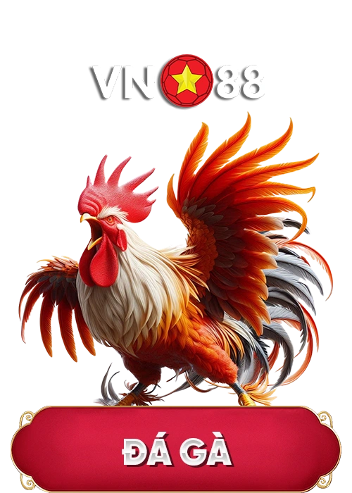 Da ga vn88
